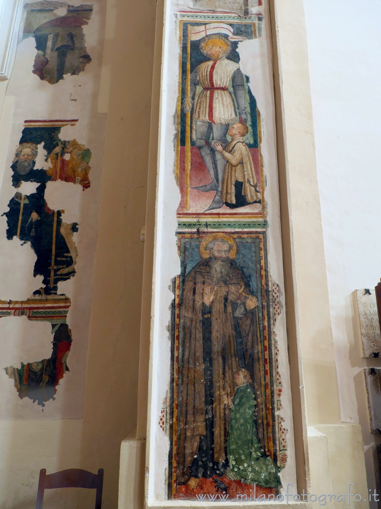Pesaro (Pesaro e Urbino, Italy) - Frescoes of St. Terence and St. Anthony Abbot in the Sanctuary of Our Lady of Grace 